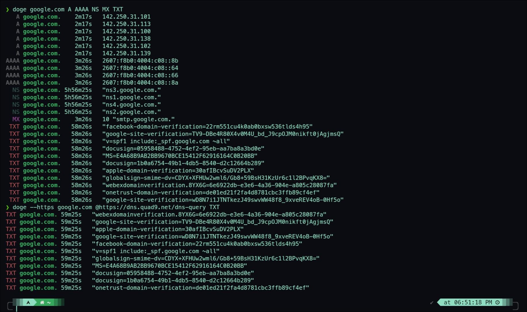 Screenshot of dog-community querying google.com